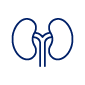 Nephrologie Logo