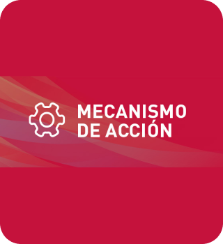 Mecanismo-de-accion-mobile