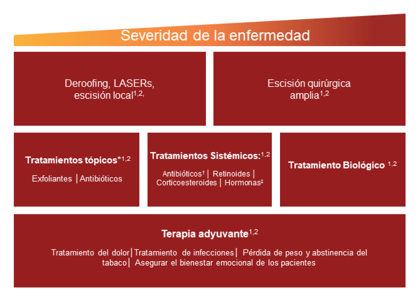 intervenciones