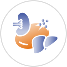 hpn-abordaje-causa hpn-abordaje-causa