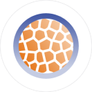 hpn-abordaje-fallo hpn-abordaje-fallo