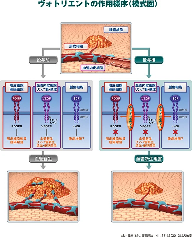 pict_mechanism002.jpg