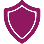 Icon of a shield