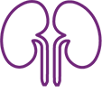 Icon of a pair of kidneys to represent Renal impairment.