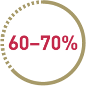 Pie chart with the text '60%–70%'.