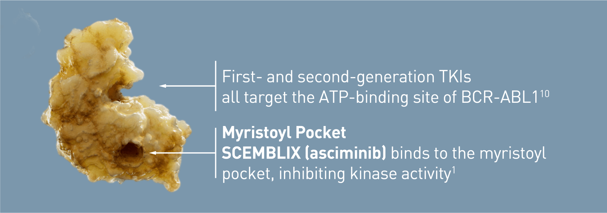 Scemblix mechanism of action diagram.