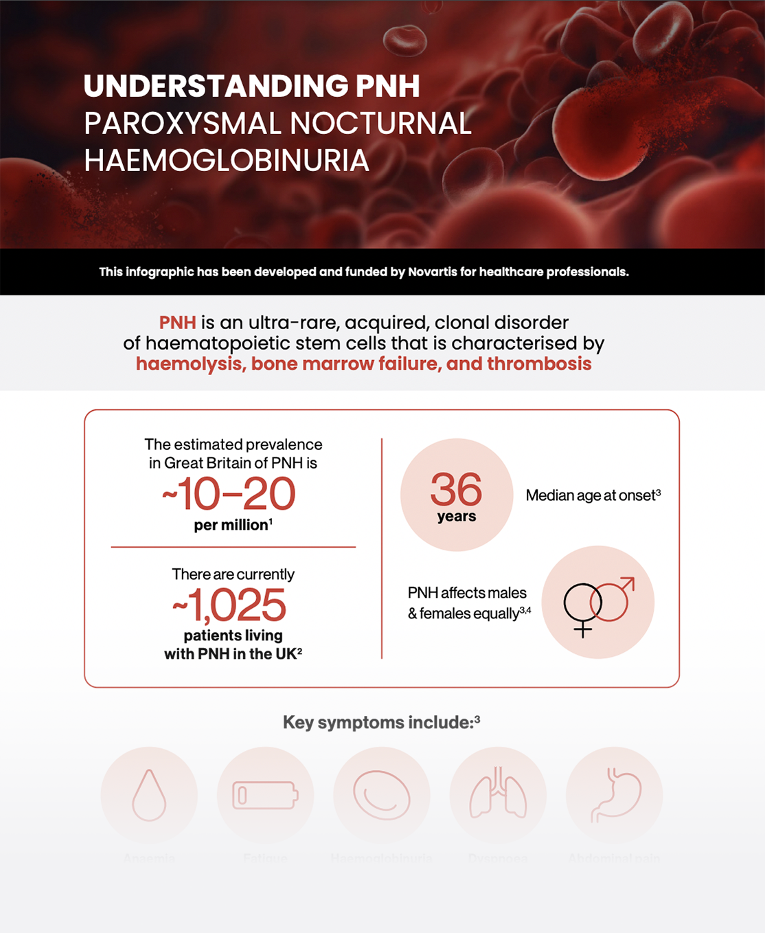 Preview image. Understanding PNH infographic.