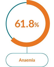 Box with the text Anaemia and a pie chart showing 61.8%.