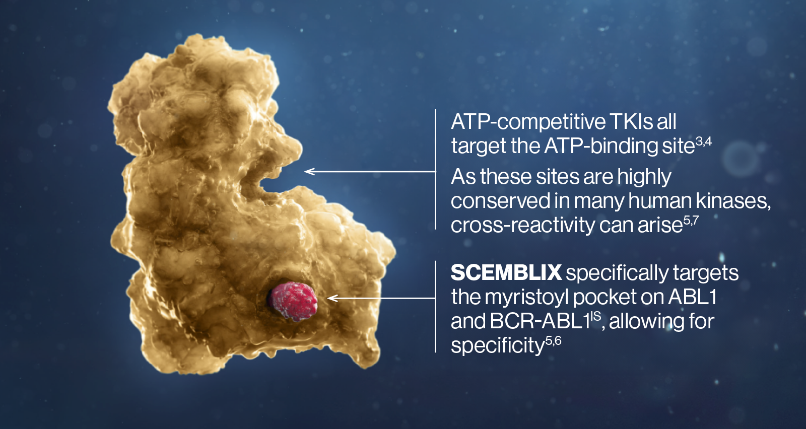 Scemblix mechanism of action diagram.