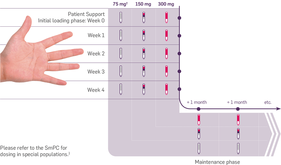 Infographic detailing the hand rule of Cosentyx dosing.